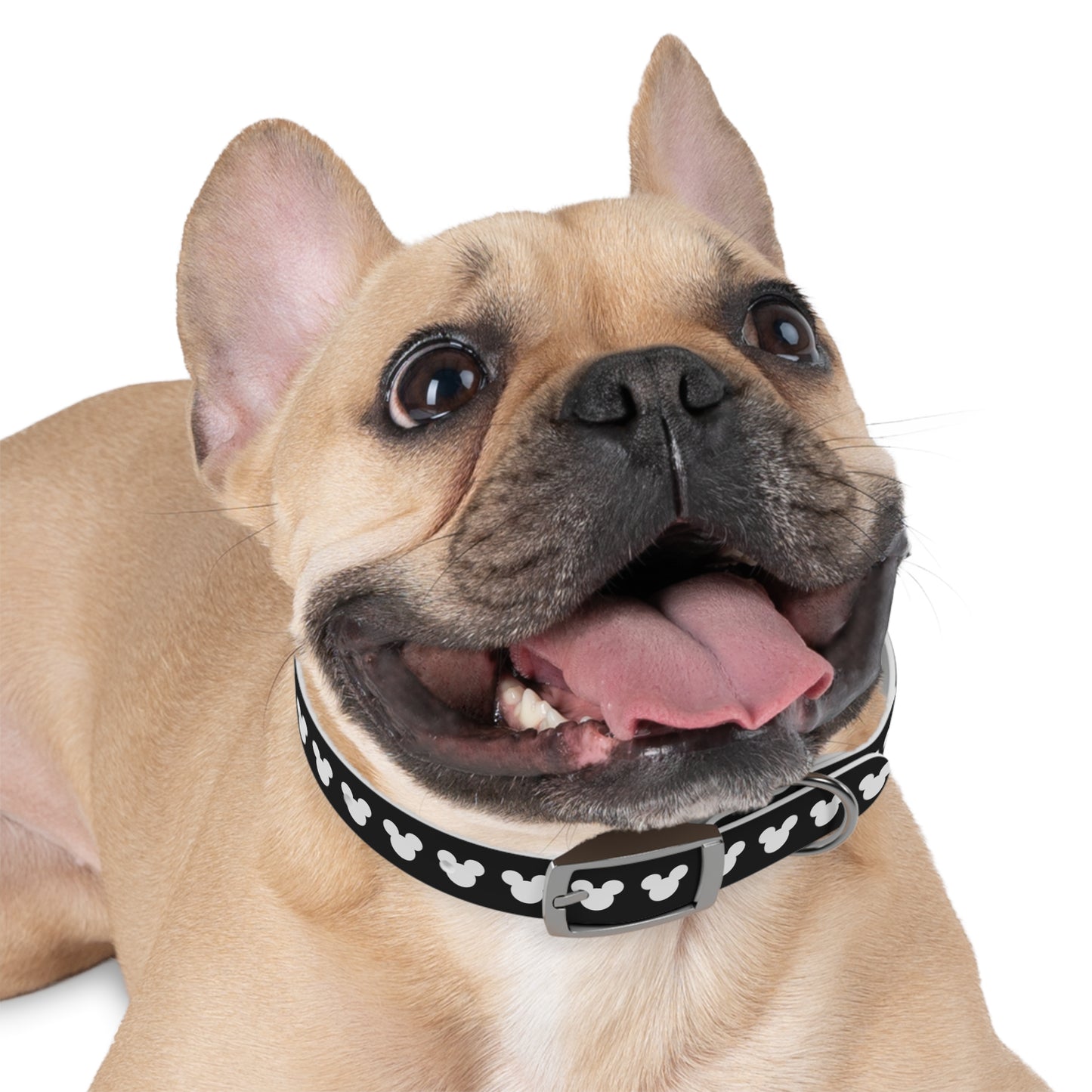 Stylish Mickey Mouse Dog Collar