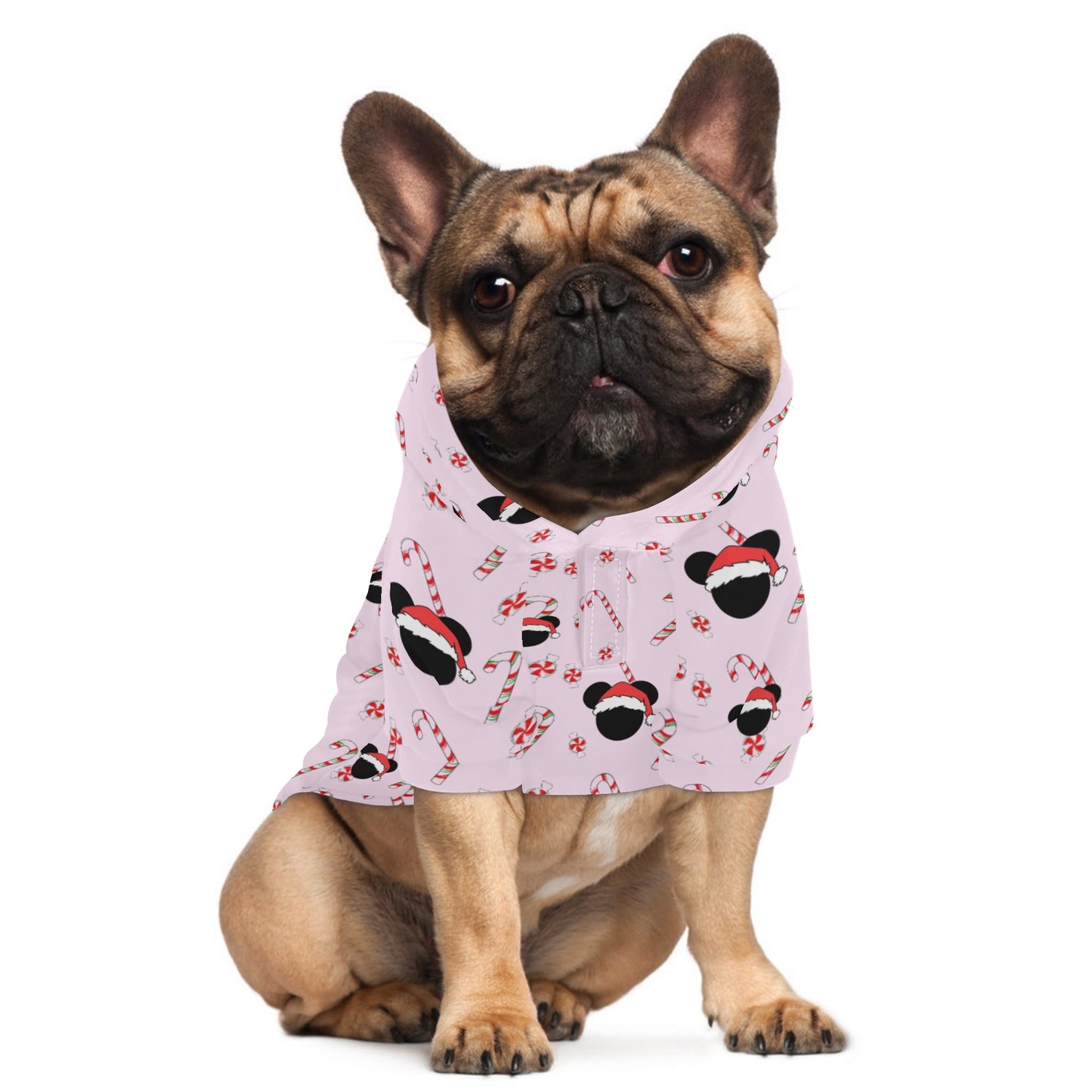 Family Matching Hoodie with Candy Cane Mickey Design – Cozy Christmas Pet Outfit