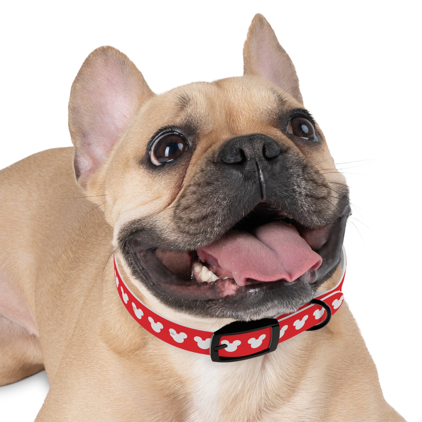 Mickey Mouse Pattern Dog Collar