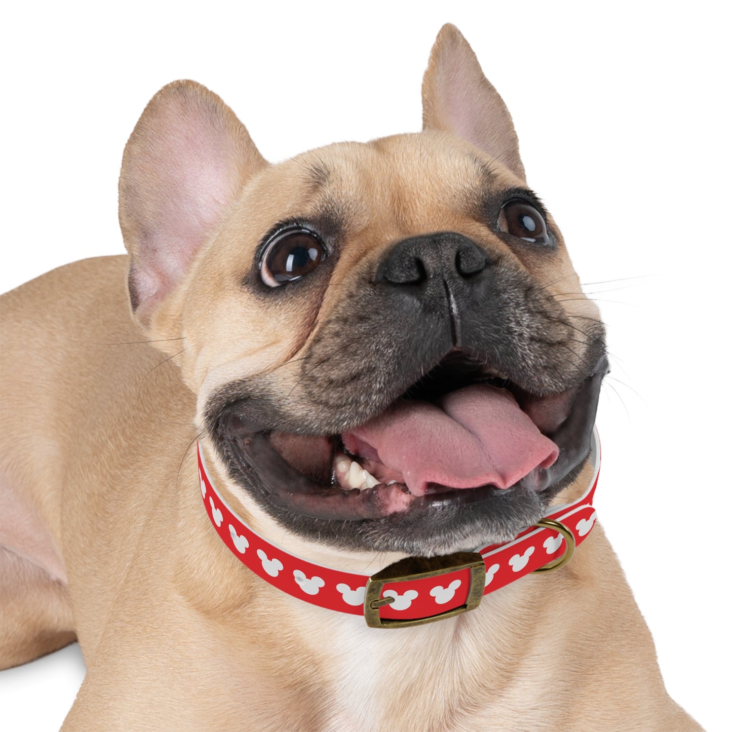 Mickey Mouse Pattern Dog Collar